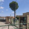 Operazione “Tana delle Tigri”: interrogatori di garanzia del Gip Cingolani