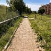 L’Aquila: erba alta e incuria al parco per cani
