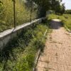 L’Aquila: erba alta e incuria al parco per cani