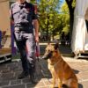 Villaggio della Legalità Carabinieri L’Aquila