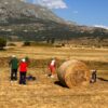 12° edizione Rotoballe golf trophy