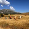 12° edizione Rotoballe golf trophy