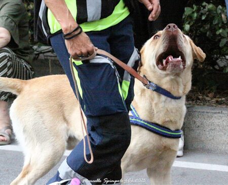 731^ Perdonanza: il fotoracconto dell’apertura della Porta Santa targato Marcello Spimpolo