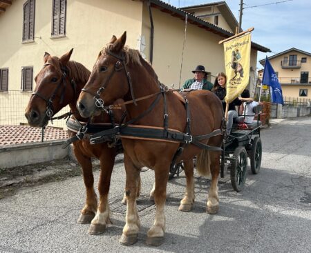 Fiera di Arischia 2025