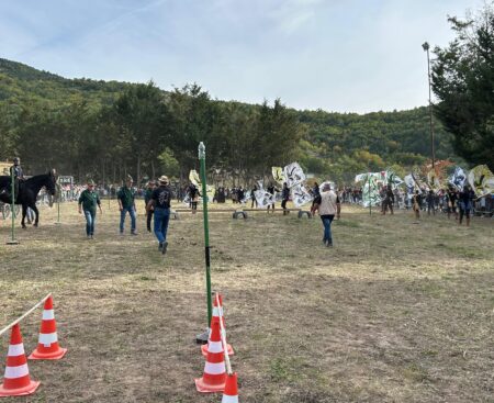 Fiera di Arischia 2025