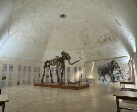 Inaugurazione Castello, percorso espositivo Munda