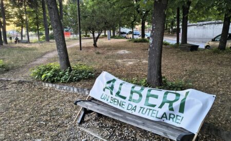 Parco Polsinelli: sit-in di Conalpa «Tagliati 35 alberi, tutelare gli altri»