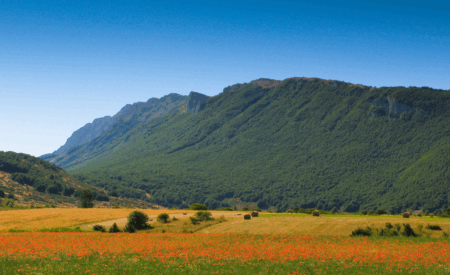 Sapori e benessere del Velino Sirente: costituita la squadra