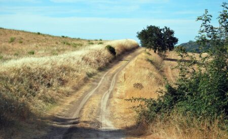 Al via la VI edizione del Premio Letterario Tratturo Magno