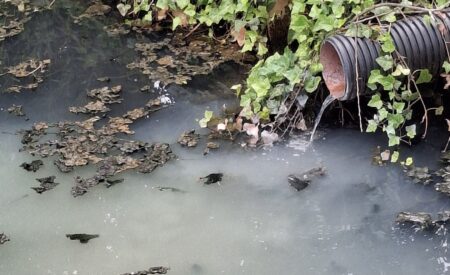 Fiume Vetoio nel degrado: rifiuti lungo il corso d’acqua