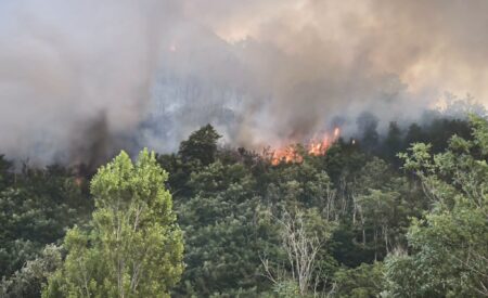 Vasto incendio tra Teramo e Canzano: in fumo circa 60 ettari