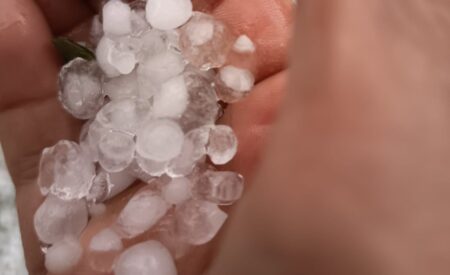 Grandinata nell’Aquilano: danneggiati oltre cento ettari di colture