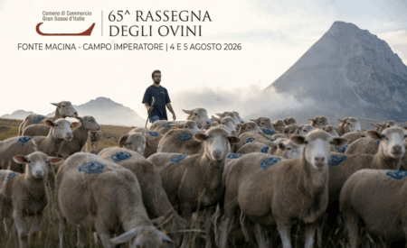 Torna la Rassegna degli Ovini di Campo Imperatore: al via le iscrizioni