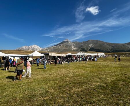 Rassegna ovini 2026