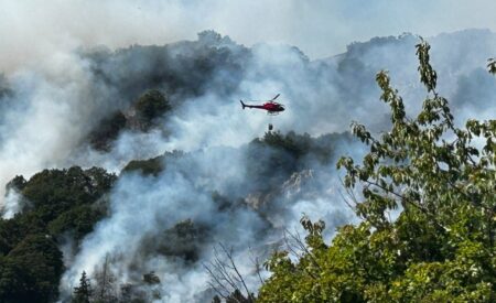 Incendi, Wwf: «Fare prevenzione e sospendere calendario venatorio»