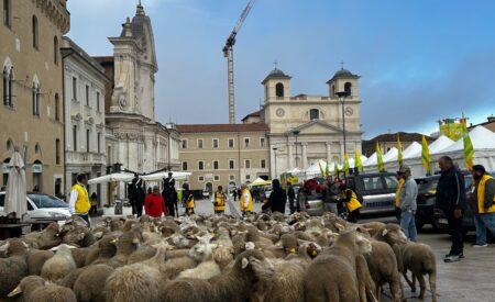 Una “transumanza urbana” ha dato il via al Villaggio Coldiretti a L’Aquila
