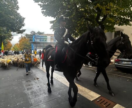 L’Aquila: il villaggio di Coldiretti a piazza Duomo