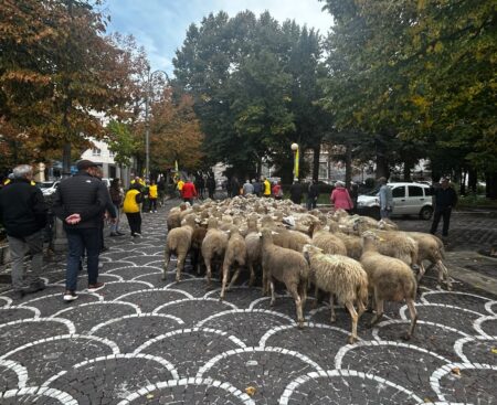 L’Aquila: il villaggio di Coldiretti a piazza Duomo