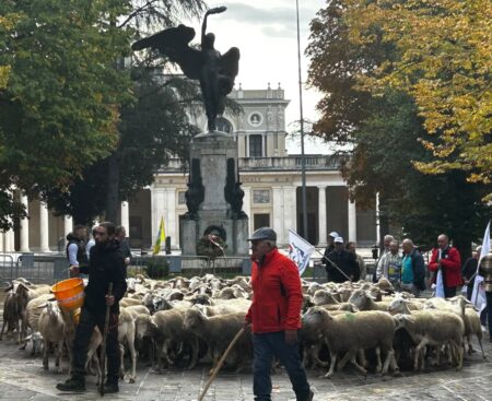 L’Aquila: il villaggio di Coldiretti a piazza Duomo