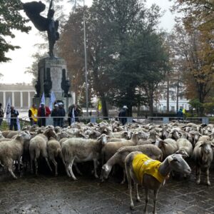 L’Aquila: il villaggio di Coldiretti a piazza Duomo