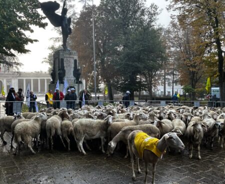 L’Aquila: il villaggio di Coldiretti a piazza Duomo